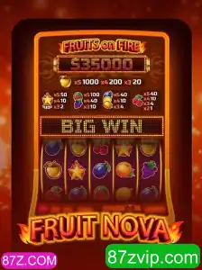 Tudo o Que Você Precisa Saber Sobre o Novo Jogo FruitNova