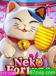 NekoFortune: Exploração do Jogo e Suas Regras